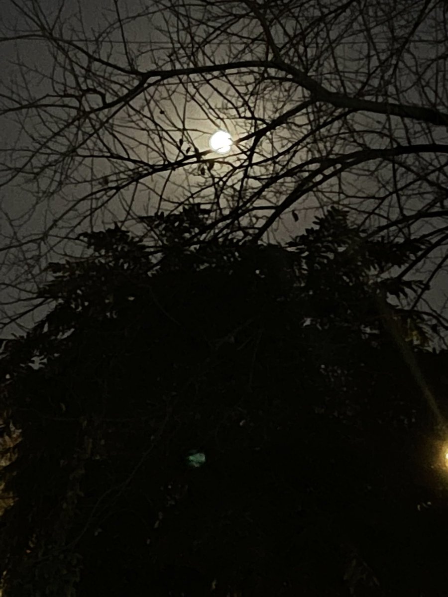 NEETAS11's tweet photo. Look up in the sky ……#februarymoon https://t.co/XDnaHswS1U