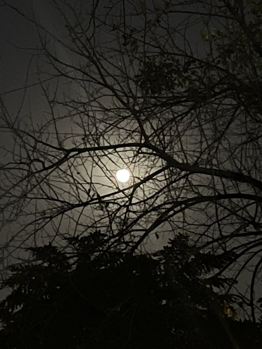 NEETAS11's tweet photo. Look up in the sky ……#februarymoon https://t.co/XDnaHswS1U