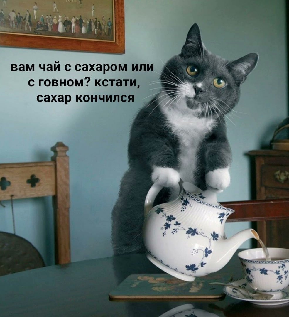 AjdenB's tweet photo. #weddingsforrussia ну чу #EA по чайку? https://t.co/d3EZM3nqZk