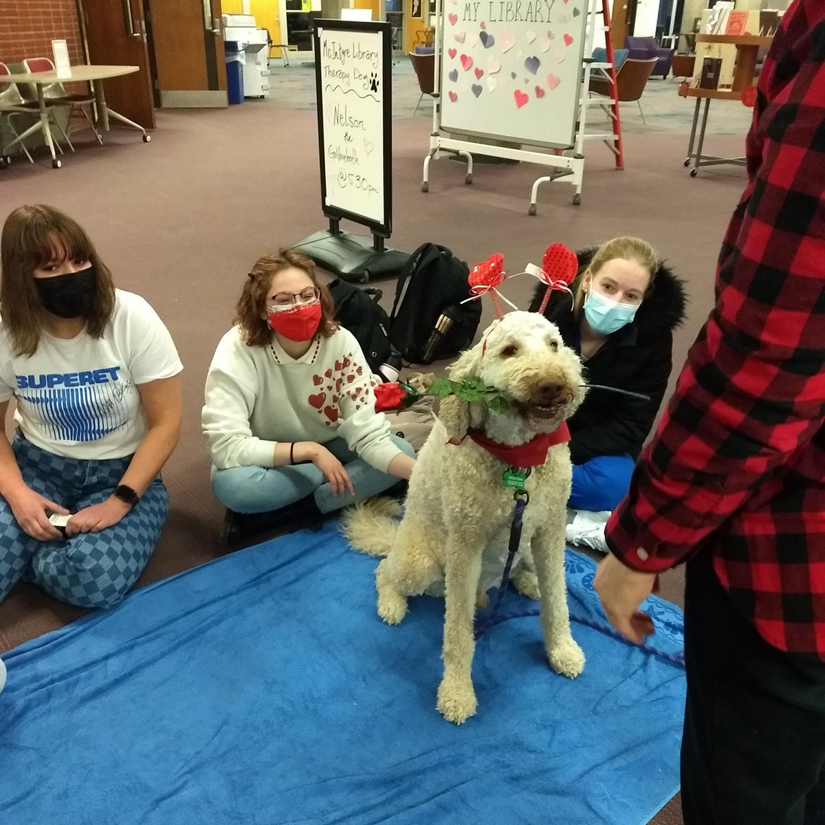 uwec_library's tweet image. 🐾 Thanks for visiting us, Nelson the Goldendoodle!

💟 McIntyre Library Therapy Dogs will be here through Feb 25th: fb.me/e/4zFUSSNd5

#UWEC #McIntyreLibrary #TherapyDogs
