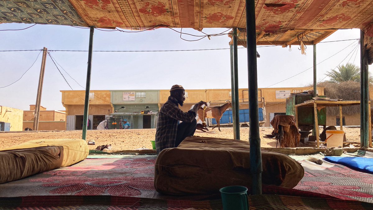 JCourtright08's tweet image. Spent a fantastic few days in Bogué/Boghe … already looking forward to my next visit!

Jaraama no fewii!

#Mauritania #Mauritanie
