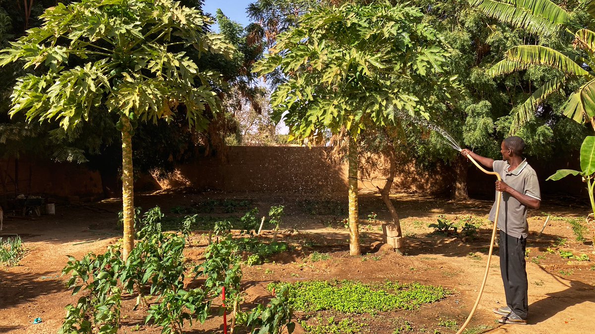 JCourtright08's tweet image. Spent a fantastic few days in Bogué/Boghe … already looking forward to my next visit!

Jaraama no fewii!

#Mauritania #Mauritanie