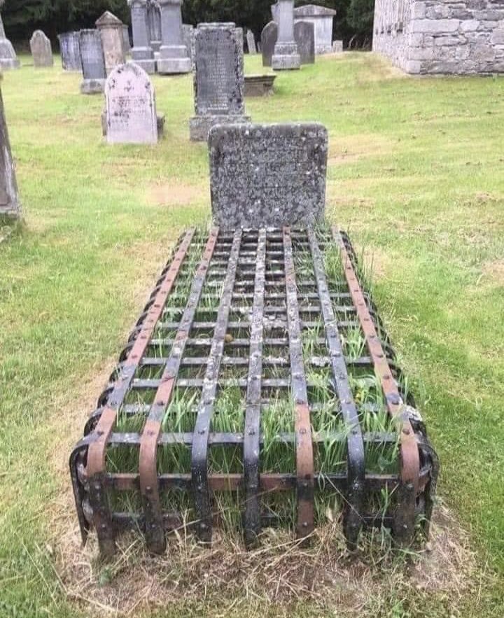 Andrew Snyder tweet media