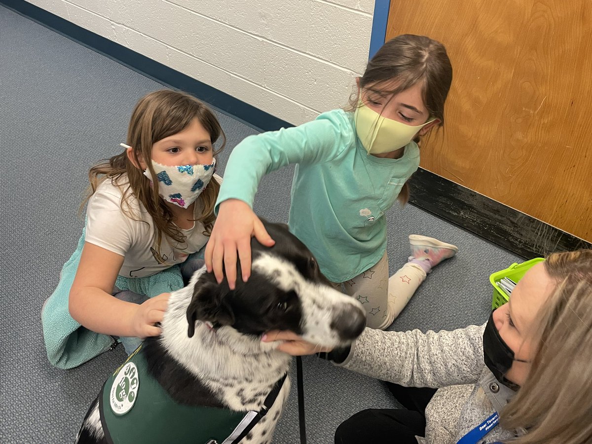 Chris Turnbull tweet media