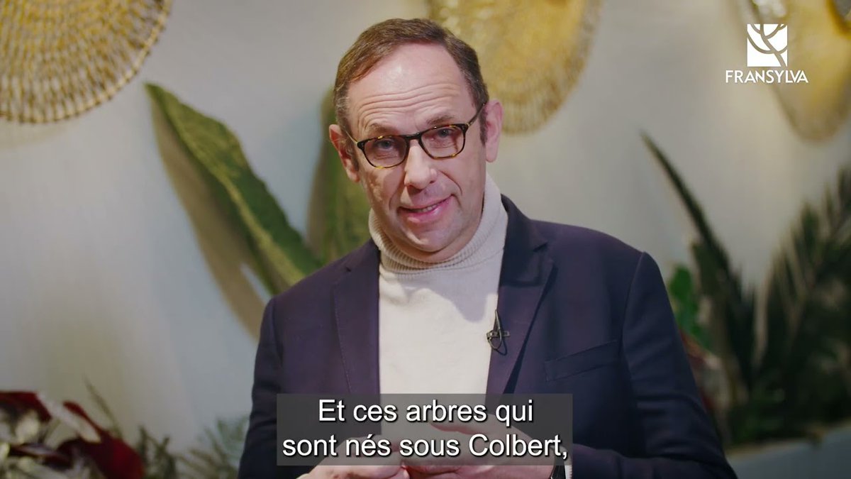 Fransylva tweet media