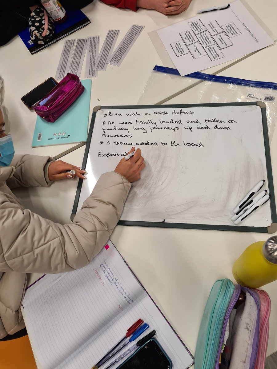trionacheile's tweet photo. Camels, causal reasoning and historical thinking in #BED2 history seminar @ArthurJChapman https://t.co/Y5MMK5Z0YV