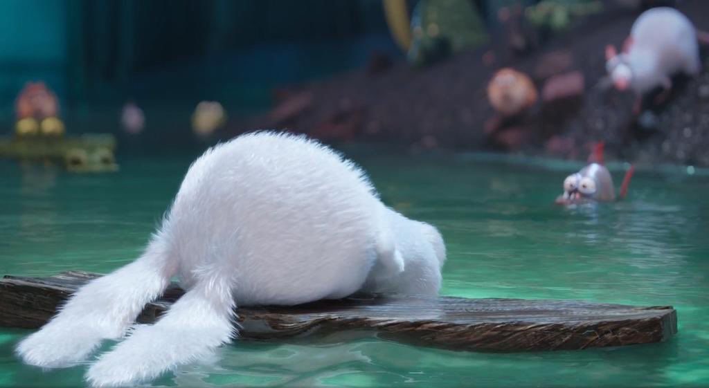 chie || rest lagi tweet media