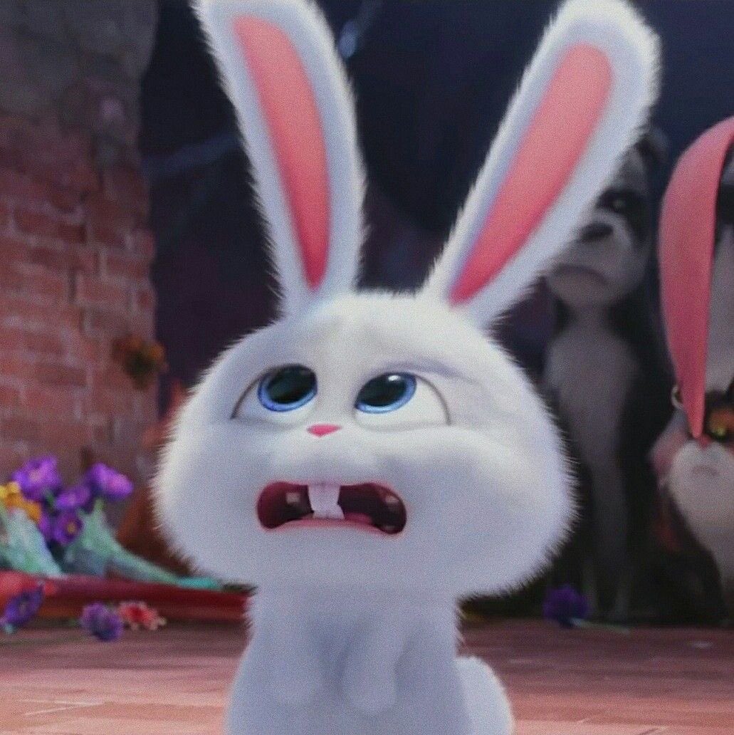 chie || rest lagi tweet media