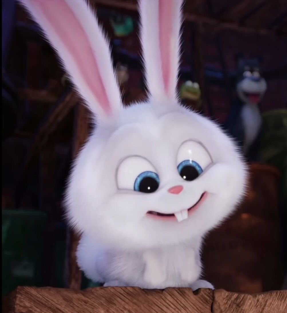 chie || rest lagi tweet media