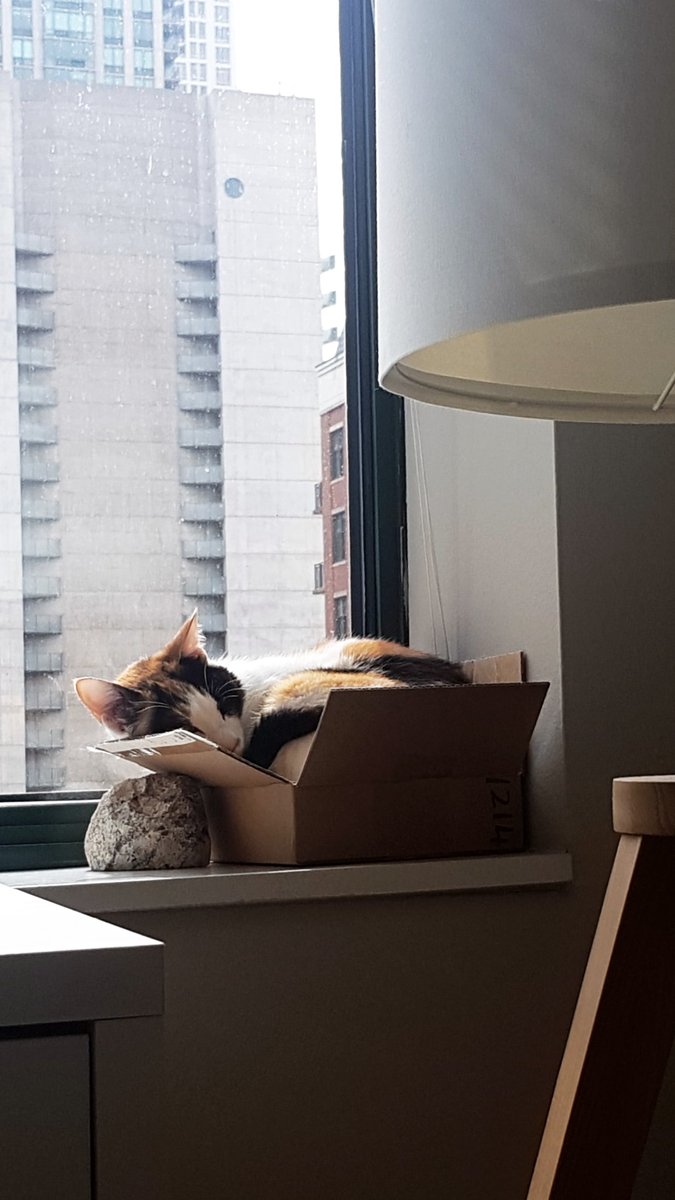 Meeowsam's tweet photo. I've taken many pictures in the past year that make me happy looking back on them. Here are a few! https://t.co/5KqtCjQbc5