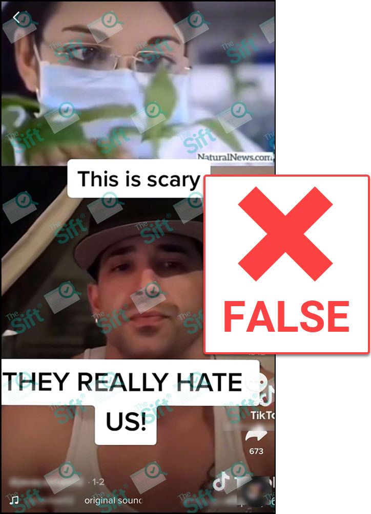 1/ NO: A technology used in agriculture called “RNA interference” cannot be used to control the population through infertility, as the TikTok video (screenshot 👇🏾) claims. Fact-check (<a href="/jillterreri/">Jill Terreri Ramos</a>): bit.ly/3sGQBAS

#NewsLiteracy