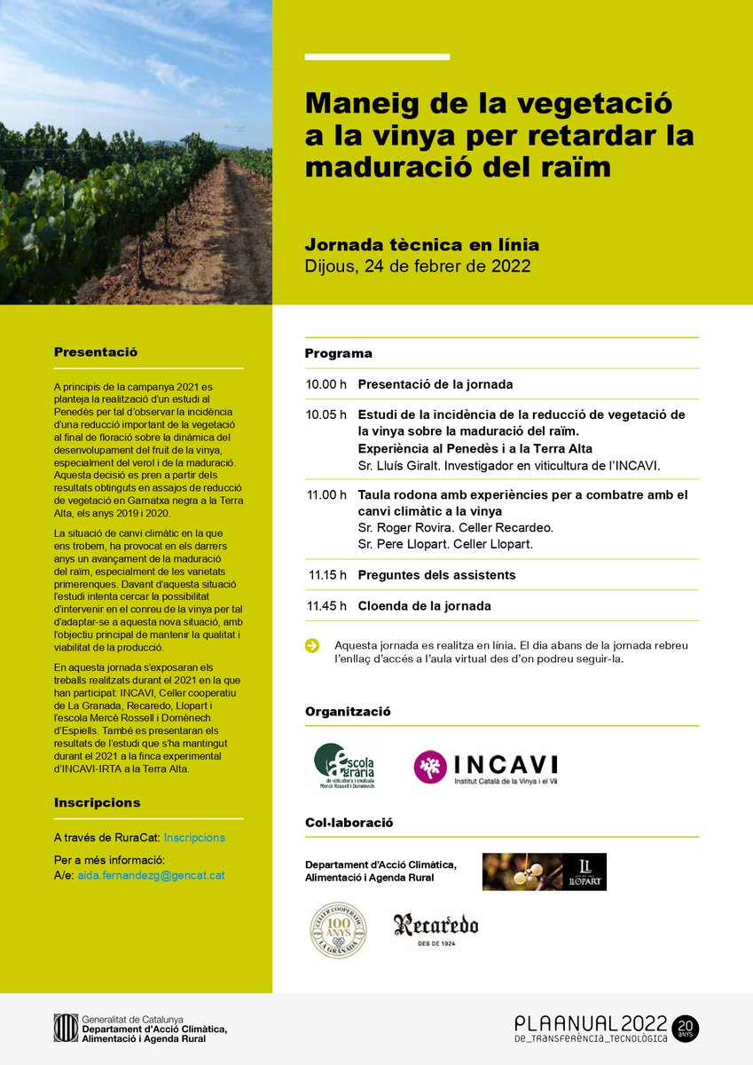 Escola Espiells tweet media