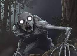 ͏ ͏ ͏͏ ͏ ͏ ͏ 𝐌𝐮𝐥𝐝𝐞𝐫. tweet media