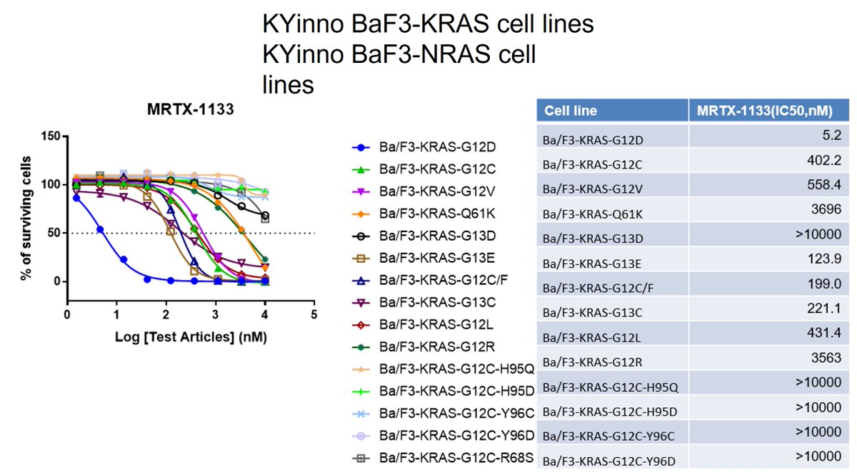 Kyinno_com's tweet photo. #StableCellLines We construct series #KRAS mutants cell lines including the typical KRAS-G12C, KRAS-G12D and KRAS-G13 to accelerate the KRAS inhibitors development. The KRAS-G12D cell line has been validated by using MRTX-1133 successfully. Contact us by bd@kyinno.com. https://t.co/twWv6Ty58u