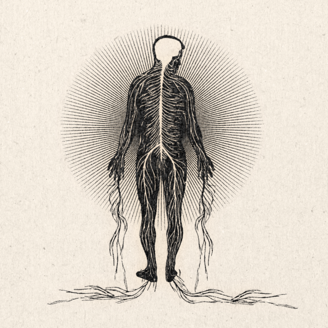 TheArtidote's tweet photo. Grow from the dirt that they left you in.

artwork by Daren Thomas Magee https://t.co/Us57BT8X6s