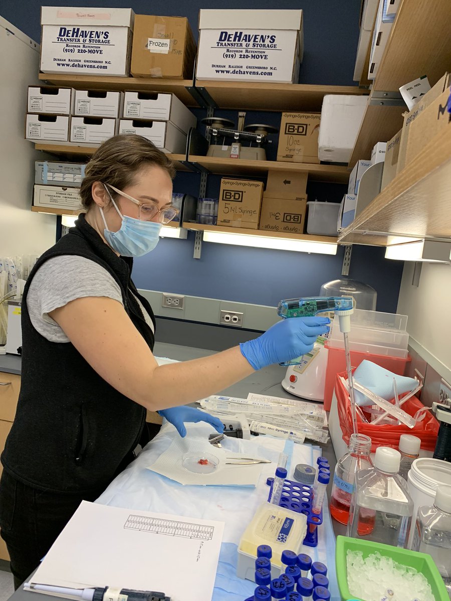 BeccaPrevisMD's tweet photo. Happy International Day of Women in Science. It was last week but our lab is celebrating today! 🧫🧪👩‍🔬🔬🧬 @dukeobgyn @DukeCancer @pammiepeters @shreebose Regina-the-star! Beth Bloom with @DukeMedSchool #ovariancancer #Immunotherapy https://t.co/7wCXYCnEBj