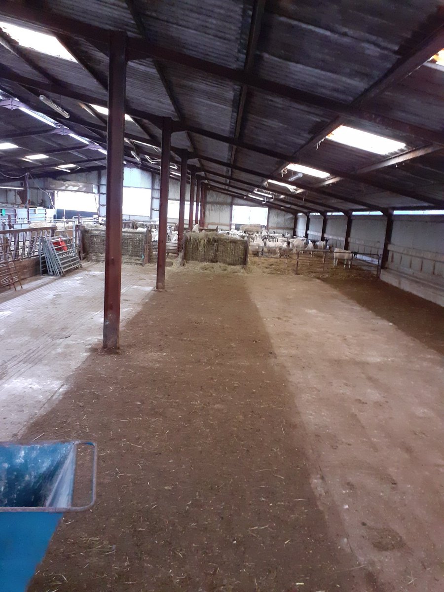 jesscollins87's tweet photo. Nearly that time #lambing https://t.co/jXKaOIlmwZ