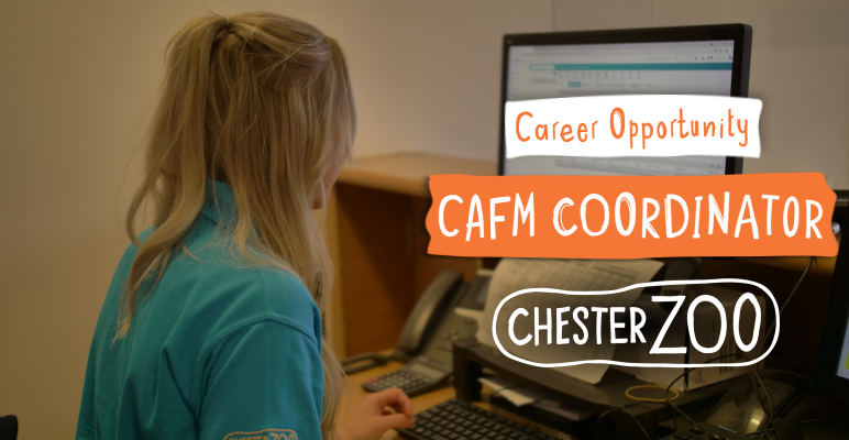 JobsinTourismUK's tweet photo. Do you have experience with #CAFM systems or similar #facilitiesmanagement software packages? If so, @chesterzoo want to hear from you! 

Info: https://t.co/b2EBhwUpfL

#JobsinZoos #JobsinTourism #JobsinChester #Chester #FM https://t.co/do91yxTm2L
