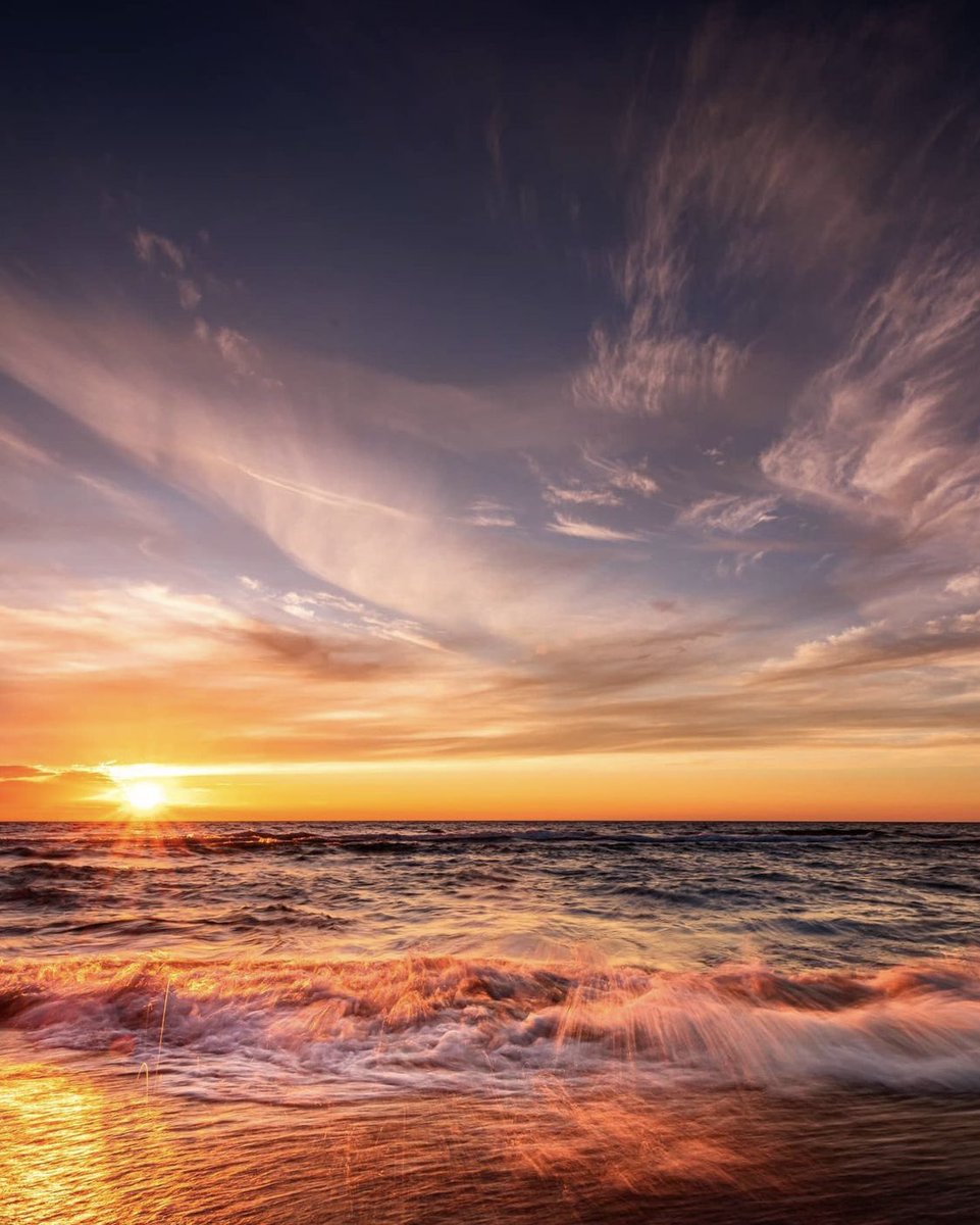 alexxf3's tweet image. 