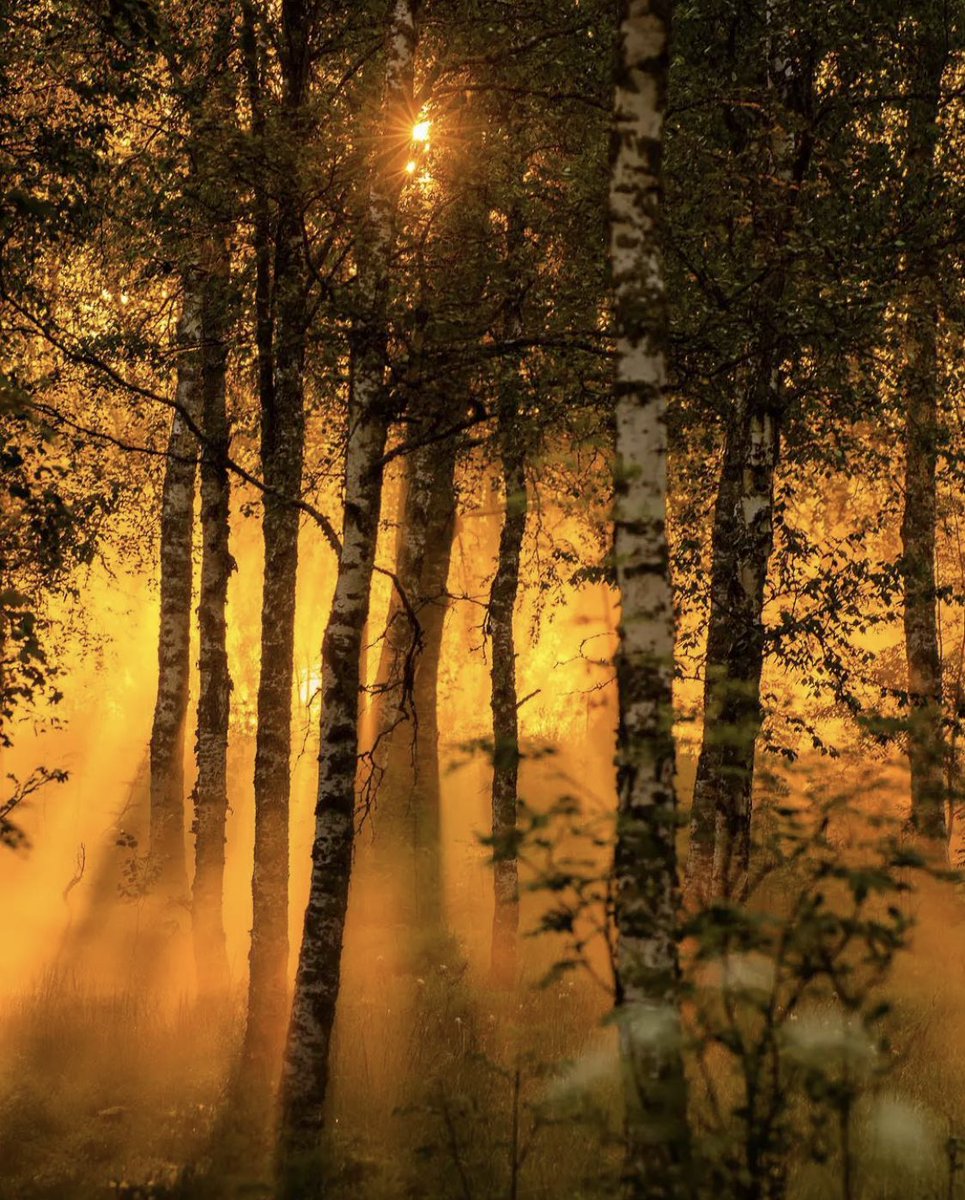 alexxf3's tweet image. 