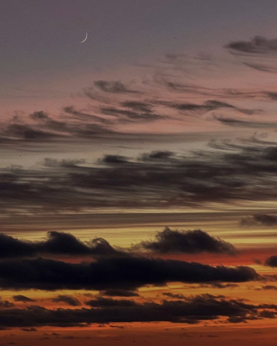 alexxf3's tweet image. 