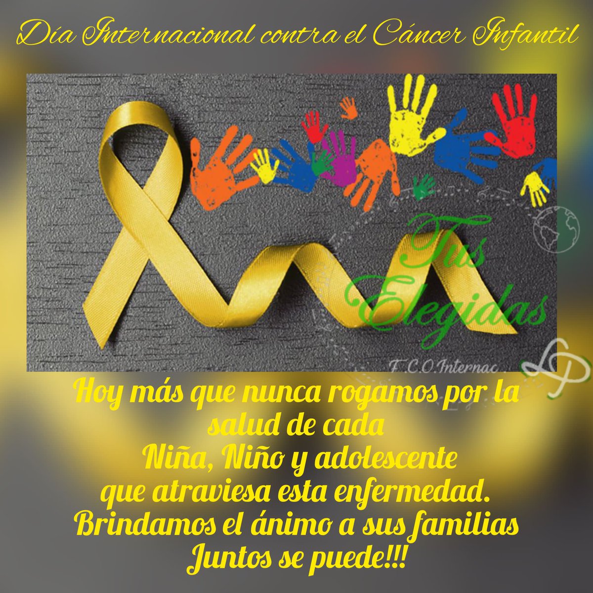 FCOI TusElegidas ✋💚 tweet media
