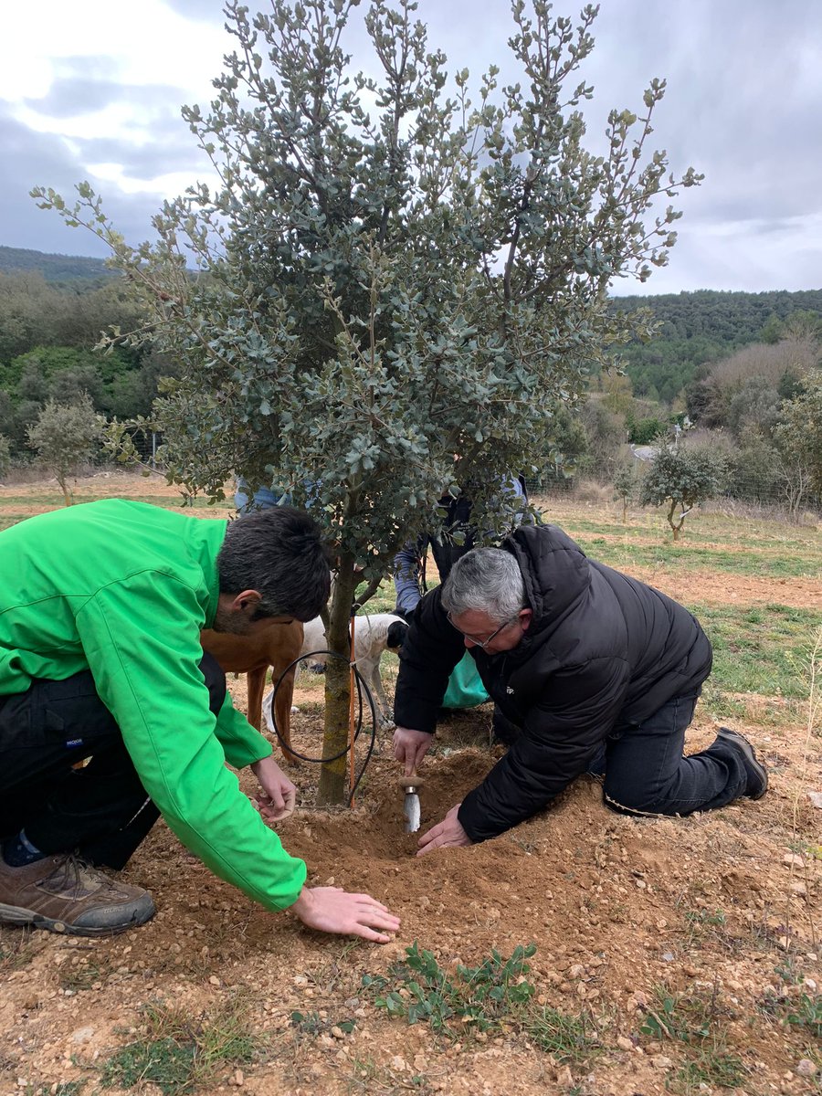 CuinaEmpordanet's tweet photo. Records d'una jornada exquisida gràcies a la rebuda que ahir ens va fer l'Associació de Productors de Tòfona de Catalunya (PROTOCAT) a una de les seves explotacions.
#cuinaempordanet #josocemporda #protocat https://t.co/yFFWoIW7zP