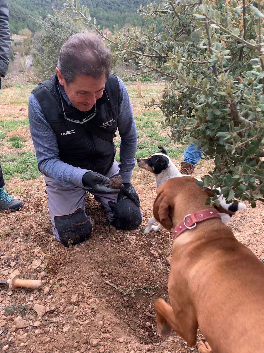 CuinaEmpordanet's tweet photo. Records d'una jornada exquisida gràcies a la rebuda que ahir ens va fer l'Associació de Productors de Tòfona de Catalunya (PROTOCAT) a una de les seves explotacions.
#cuinaempordanet #josocemporda #protocat https://t.co/yFFWoIW7zP