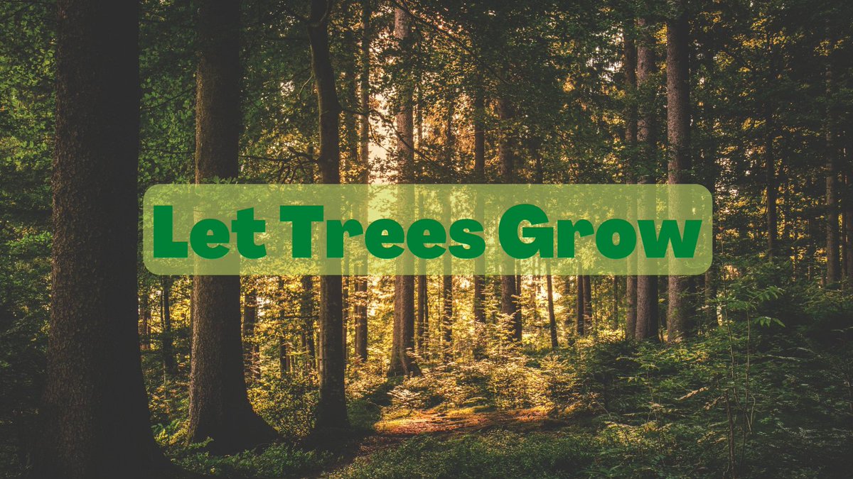 Environment New York tweet media