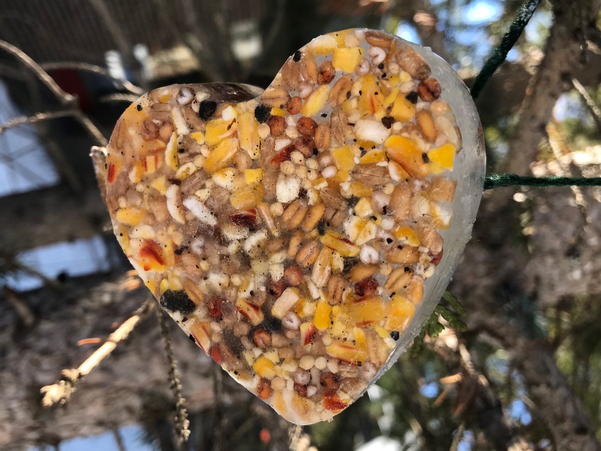 Sun catchers! 
#TMOWinterChallenge
@WeTheRockRPPS <a href="/OCDSBoec/">OCDSB Outdoor Centres</a> <a href="/OCDSB/">OCDSB</a>