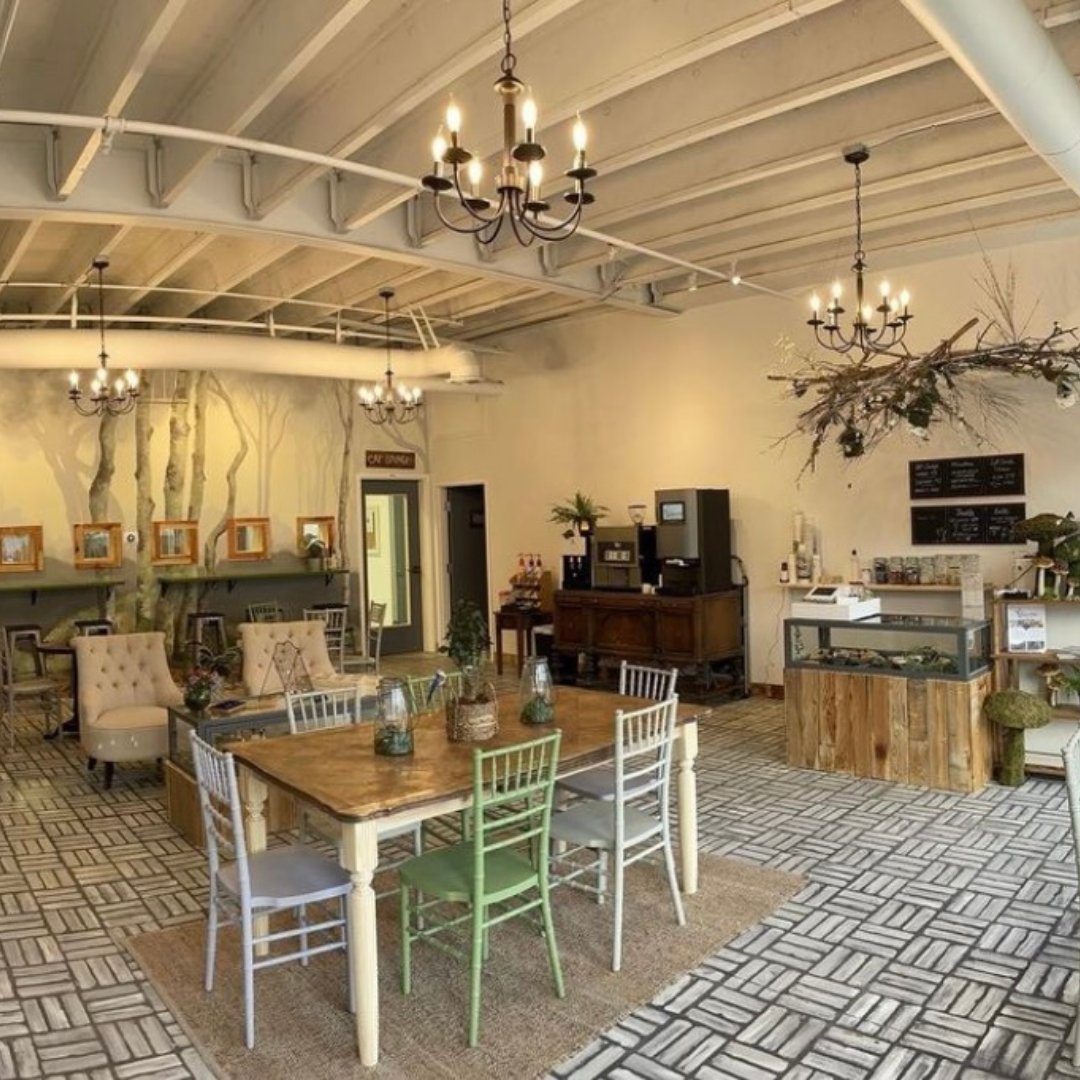 JustThePositive's tweet photo. Enchanted Cat Cafe opened last month here in #Reno! They partnered up with the ARGONN, Grace for the Voiceless, Precious Paws Society of NV, &amp; Feral at Heart, so all the cats you hang out with are also available for #adoption. Go get a nice cup of coffee and hang out. https://t.co/Wlcp9Ytywl