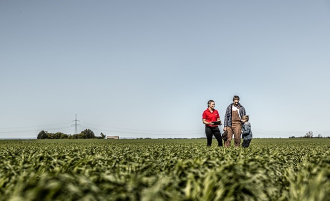 DID YOU KNOW, farmers would need 44% more land to produce what we need today if there was no crop protection products and plant breeding innovations. #CdnAgDay #CoopAg #AgTwitter #DYK