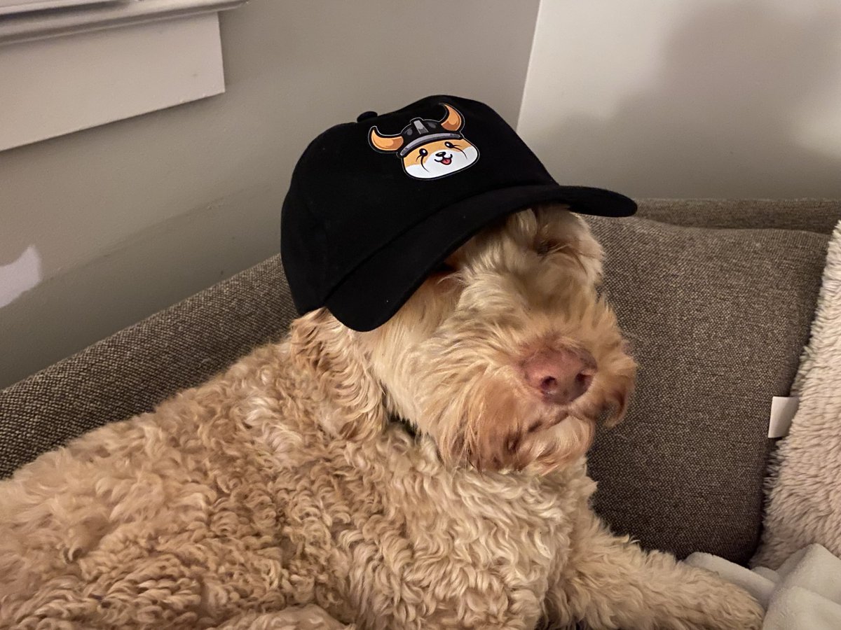28delayslater's tweet photo. Wilson hasn’t sold any $floki. Says he likes the F1 sponsorship. #floki @RealFlokiInu https://t.co/euiuL5ZbNY