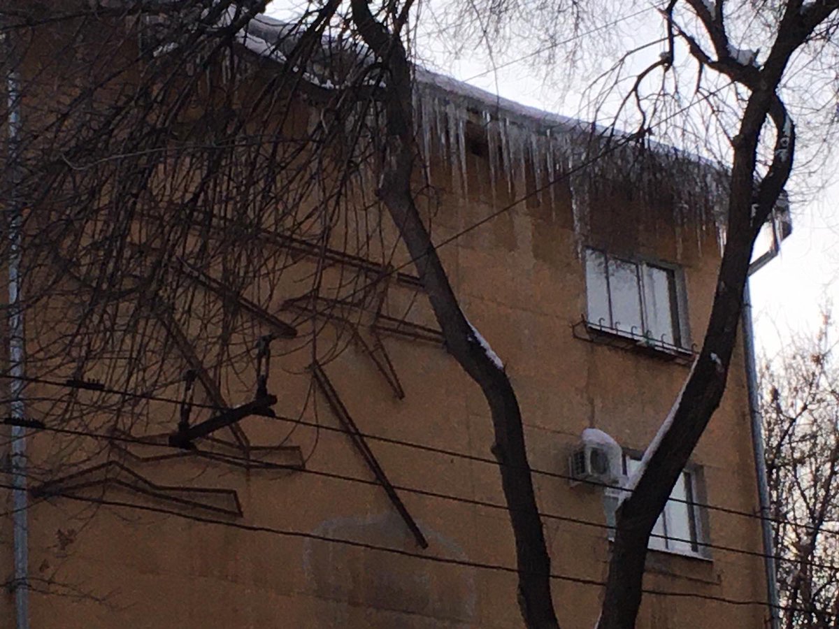 любовь tweet media