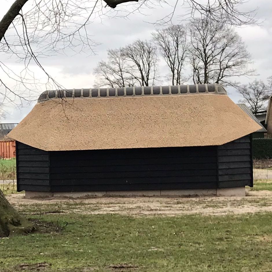 De Rietdekker heeft een prachtige, kunstrieten kap (van Techriet) gerealiseerd op de schaapskooi in 't Weitje van Dek in Ederveen. Samen met HaBé Bouwen in Stijl en Bouwbedrijf van de Vliert hebben we er wat moois van kunnen maken. #derietdekker #kunstriet #riet