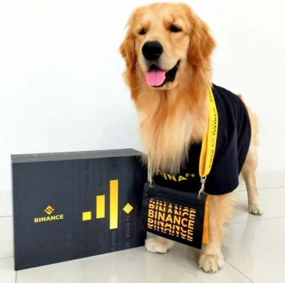 binance's tweet photo. 📸 8th place is @itznasirkhan 

#BinanceDog rockin' the #Binance merch. https://t.co/lOkudrZFIQ
