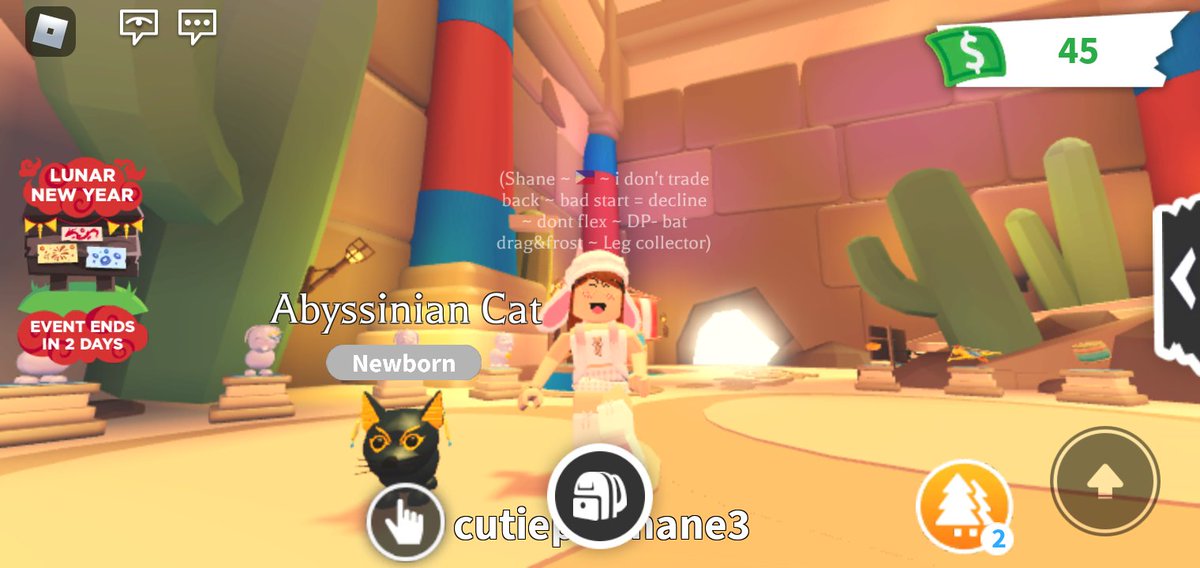 Cherrybelsz's tweet photo. Abyssinian cat giveaway!

2 winners
1st prize : new cat &amp;the petwear earrings from the desert shop
2nd : New cat &amp; cactus plushie

Just follow &amp; RT 
rt w tags if u want<3

ends in 2 days
GL
#adoptmetrades #adoptmegiveaway #adoptmegiveaways #adoptme #adoptmetrading https://t.co/L44uvadxoF