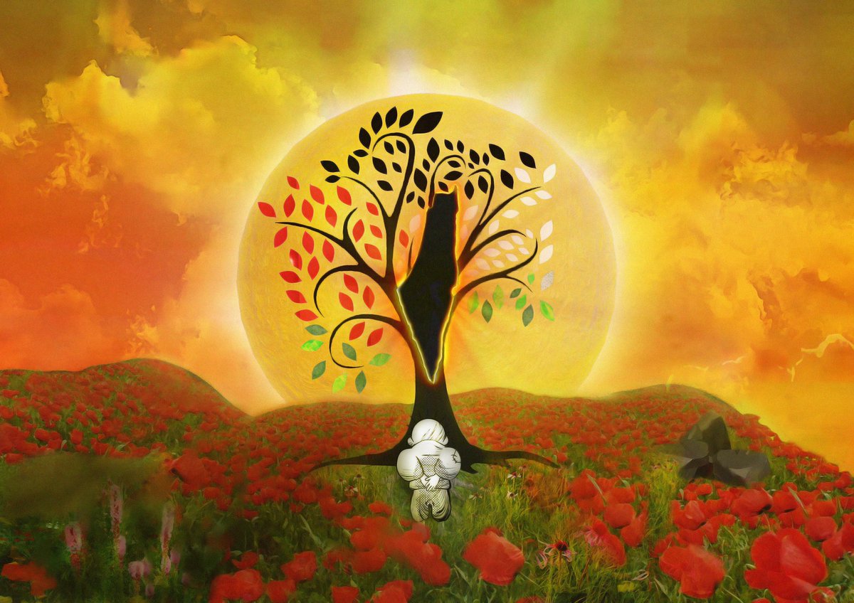 Glimpse of Hope 🇵🇸 tweet media