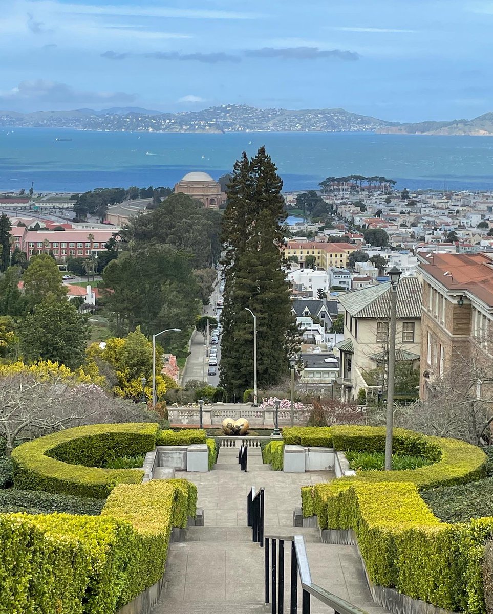 Crewylou's tweet image. “So can you do a &quot;thingy&quot; on that rail?”
“It&apos;s called a grind, bro.”
“So, can you do a &quot;grindy thingy&quot; now?”
#lyonstreetsteps #pacheights #palaceoffinearts #presidio #sanfranciscobay #322steps