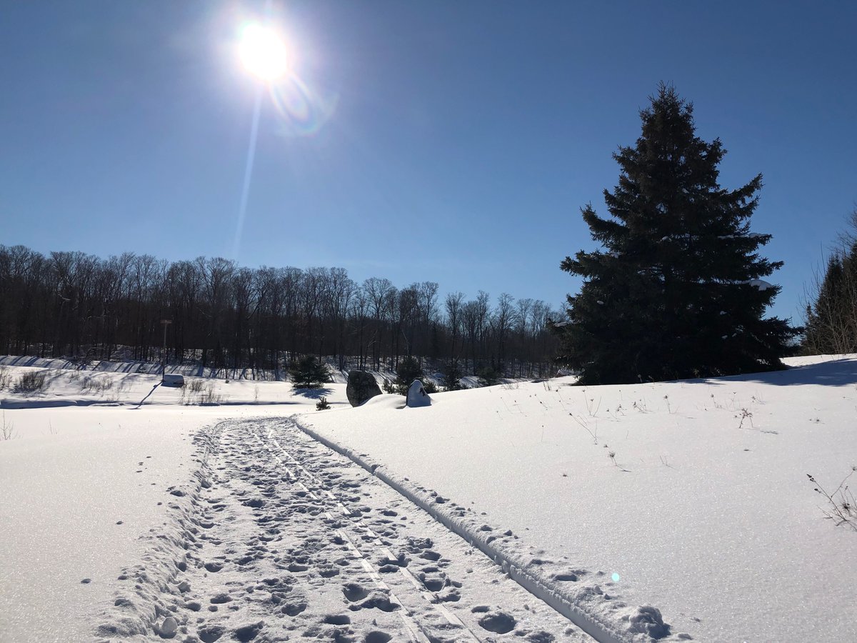 Lorry_Brandon's tweet photo. What a great day on the trails at Abbey Gardens! @AbbeyGrdns @VisitHaliburton @OnHighlands @hikehaliburton #myhaliburtonhighlands #comewander #haliburtonlife #hikehaliburton https://t.co/Yf64DtQSEp