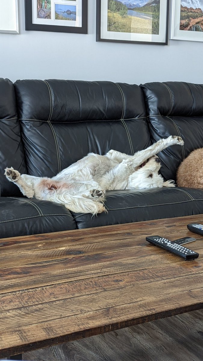 𝕄𝕒𝕣𝕚𝕖-𝔸𝕟𝕕𝕣𝕖𝕖 𝕆𝕦𝕚𝕞𝕖𝕥 tweet media