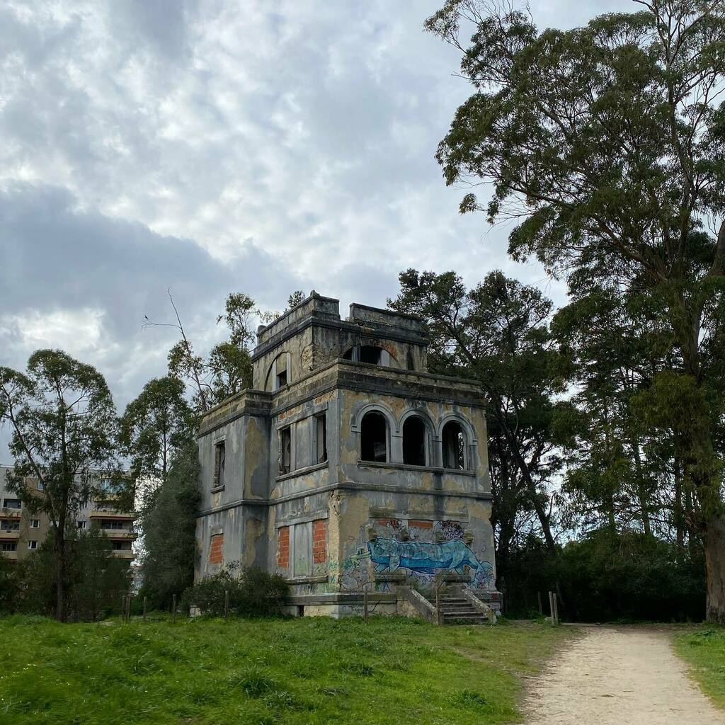 artur__madeira's tweet image. #lisboalive #lisbonmoves #anonymous_pt #shooters_pt #fx_hdr #igerslx instagr.am/p/CaA3PZjsv9b/