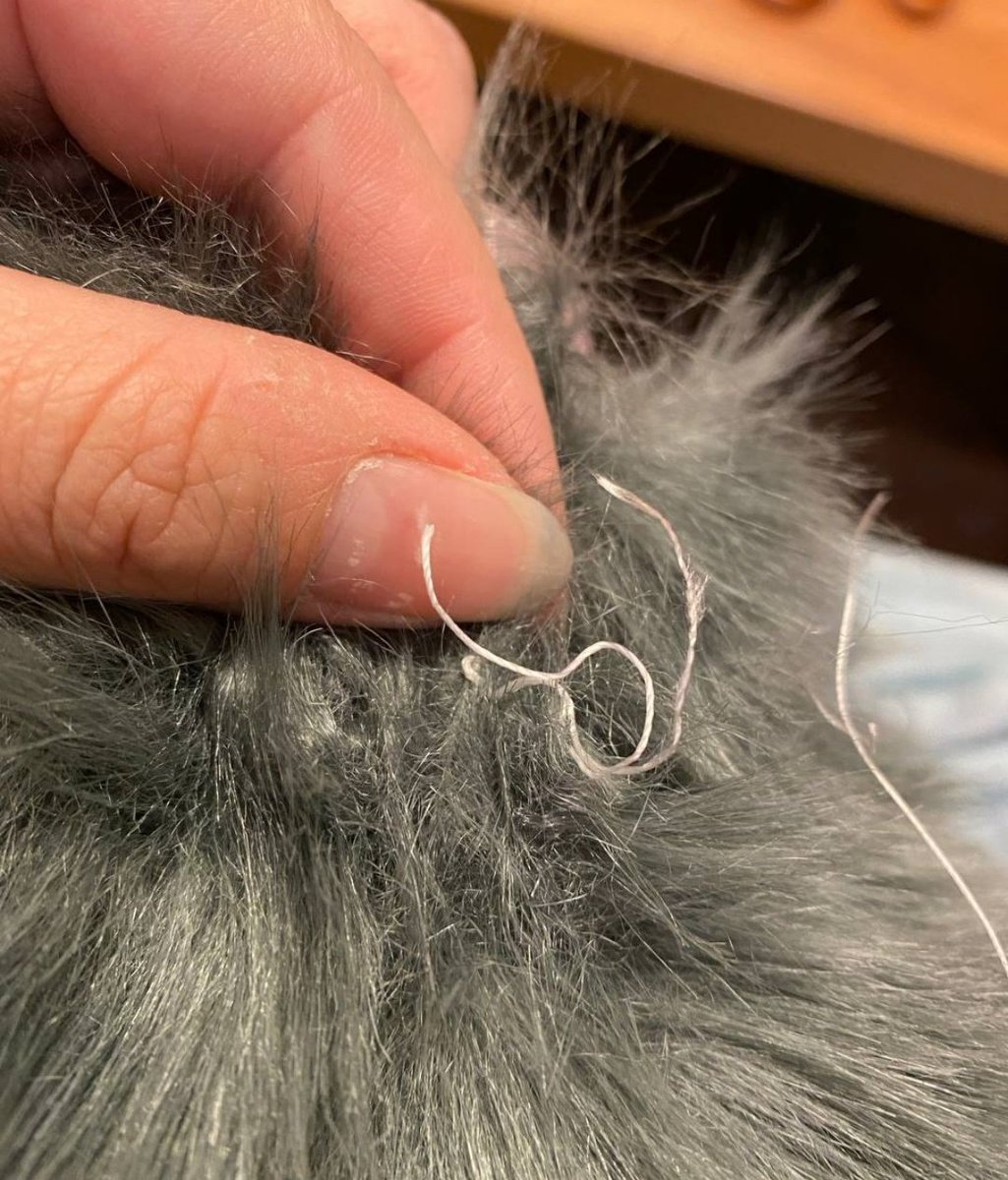 Areyoufurwheels Tbd I Love My Dhc Suits Let Me Tell You Why I Love The Claws Being Hot Glued On I Love That The Hand Paws Weren T Hemmed I Love That