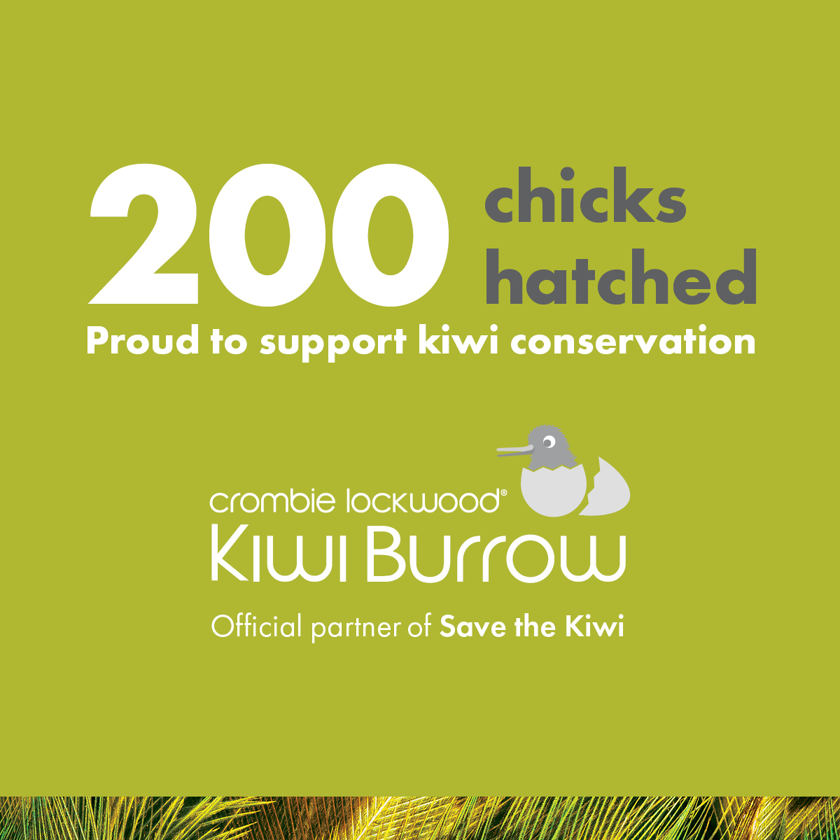 We've reached a magic milestone at The Crombie Lockwood Kiwi Burrow, thanks to the awesome efforts of our partner <a href="/savethekiwinz/">Save the Kiwi</a>. 💚
