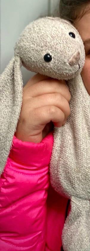 EricaALoi's tweet photo. Desperate appeal for Flopsy. Lost yesterday either @ODEONCinemas #wimbledon or from there up to #Wimbledonvillage. Belongs to my friend’s daughter who has had Flopsy from birth and is absolutely distraught. She is also #autistic and the loss of Flopsy is extremely traumatic! #RT https://t.co/qR5nDq8DX5