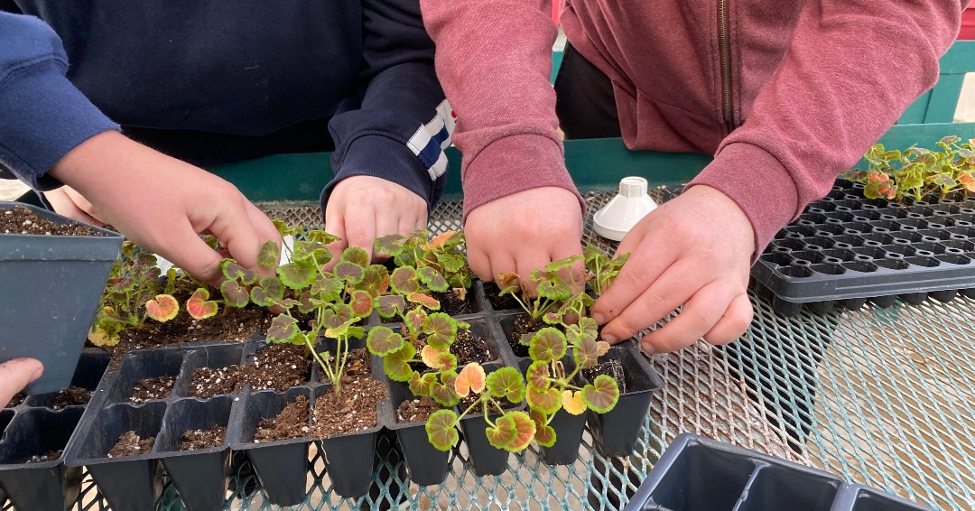 ReedsSpringHS's tweet image. Botany students are getting the planting season started this week!
Today students planted over 700 plants! #theorytuesday #WolvesAtWork #AcademicExcellence #ONEwiththePACK