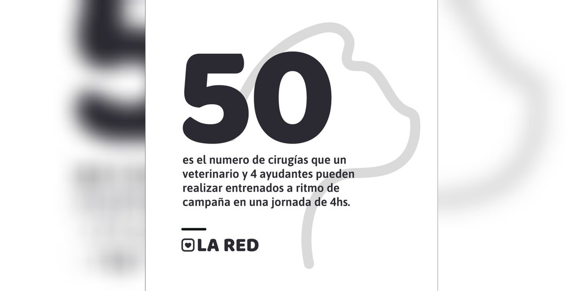 Red de Políticas Públicas tweet media