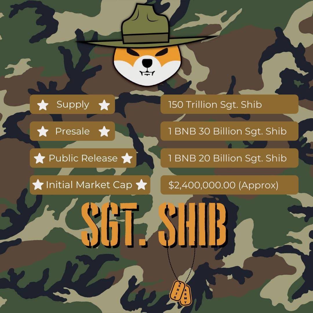 RealD0D's tweet image. Public presale now live on DX Sale for @sgtshibtoken Get your buys now. Hardcap push is underway! #BNB #BSCGem #BSC #SGTSHIB 

dxsale.app/app/v3/defipre…