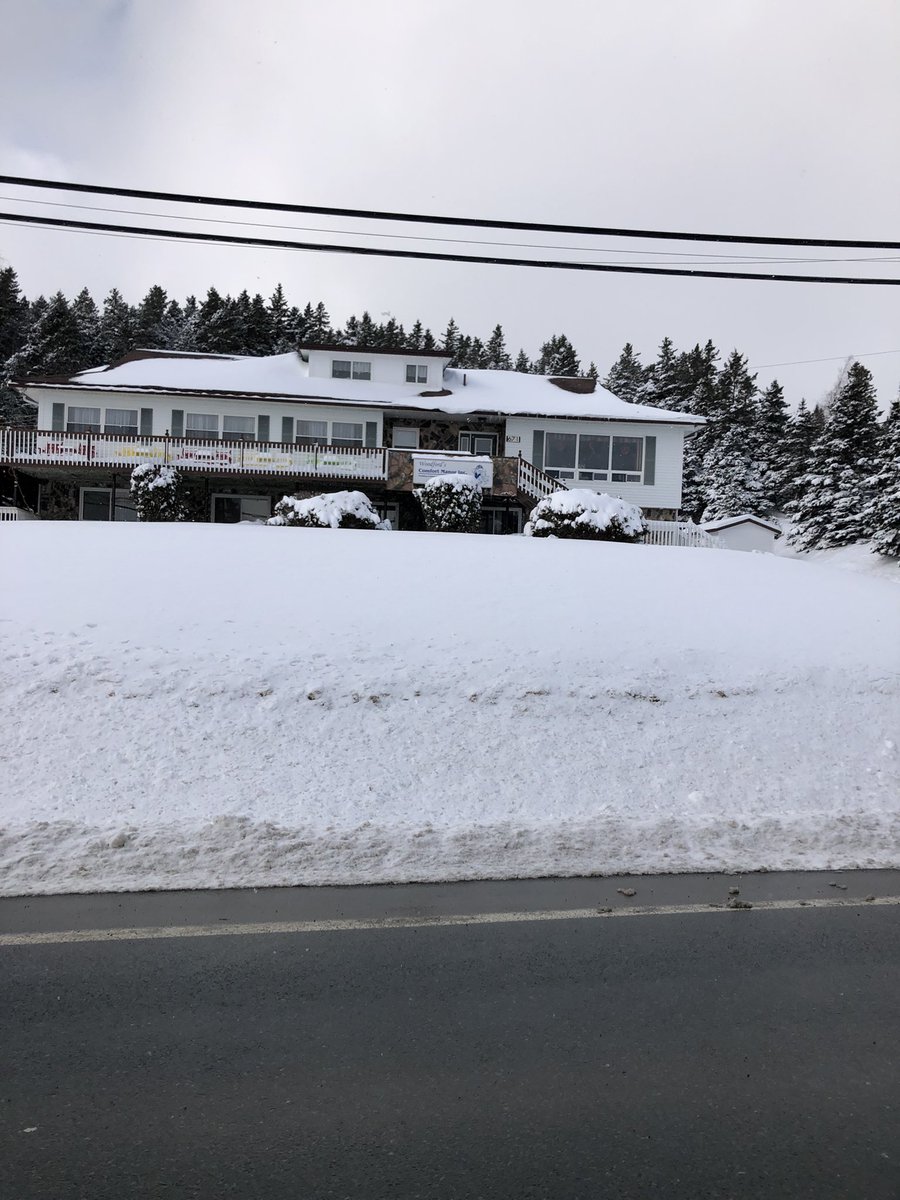 Holly Healey tweet media