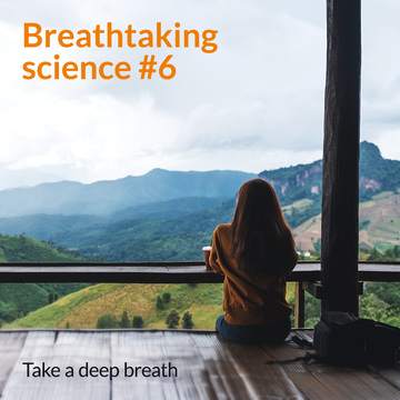 Most of us breathe in and out 12-16 times a minute, often from the top of the chest (put your hand there, does it move when you breathe?). To activate our friend, the Vagus nerve, we need to slow down and go deep. Around 6 breathes per minutes, using your diaphragm.
#VagusNerve
